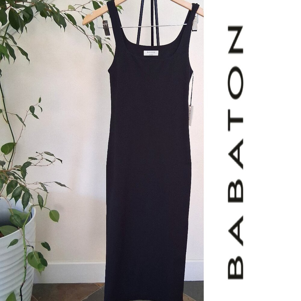 Babaton Black lined Dress
